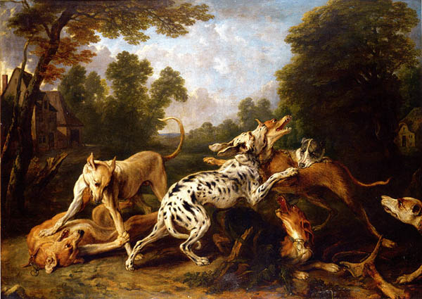 combattimento tra cani snyders