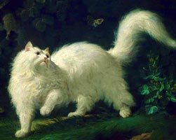 gatto di Luigi XV