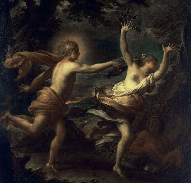 apollo dafne trevisani