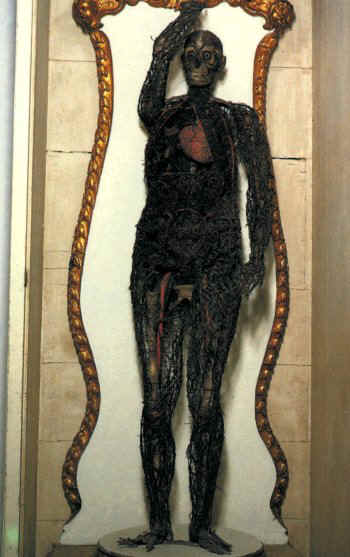 macchina anatomica san severo