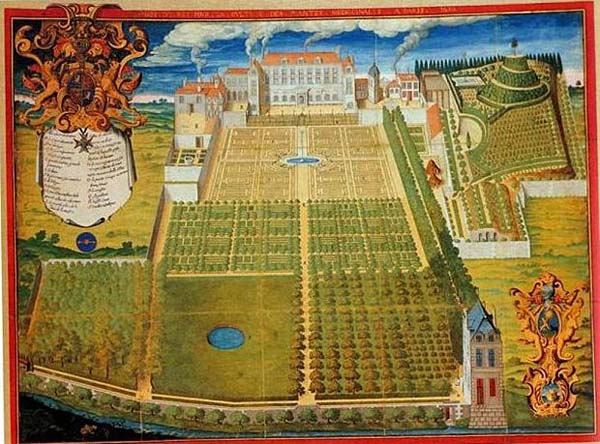 Jardin royal des plantes médicinales