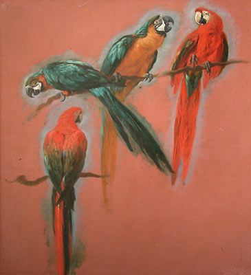 Pappagalli in un dipinto di Pieter Bail 