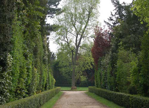 Le bosquet de la Reine