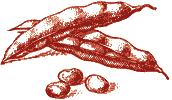 I legumi, ricette antiche