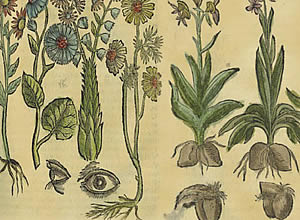 teoria delle segnature