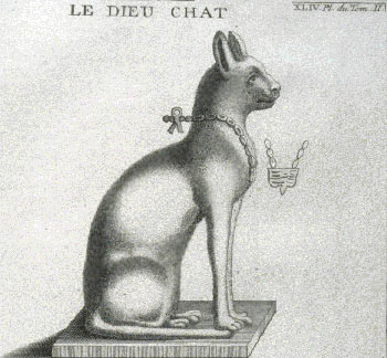 dieu chat