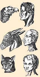 fisiognomica