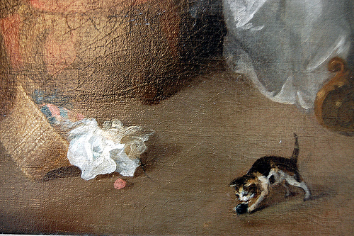 la gatta di newton