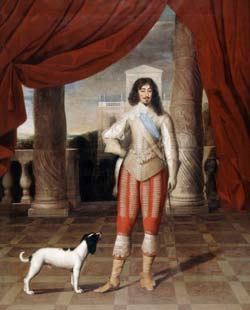 luigi XIII cane