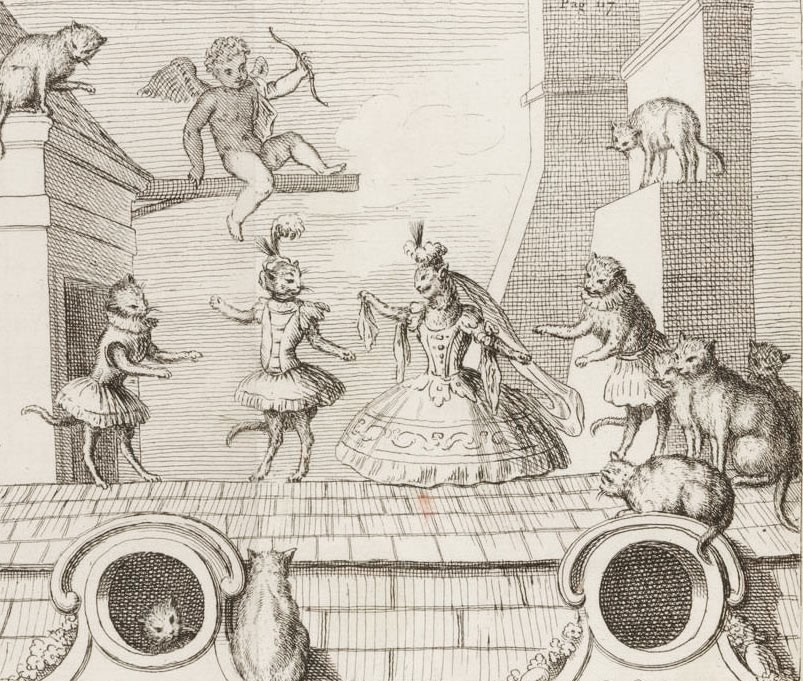 moncrif gatti danza