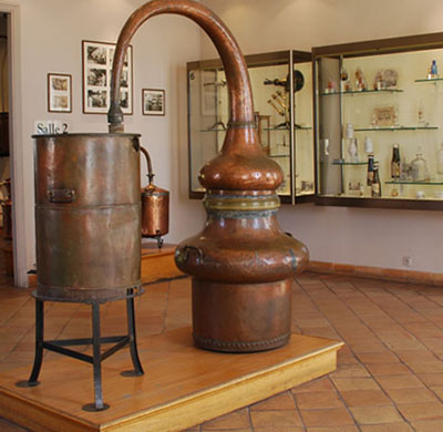 Il profumo